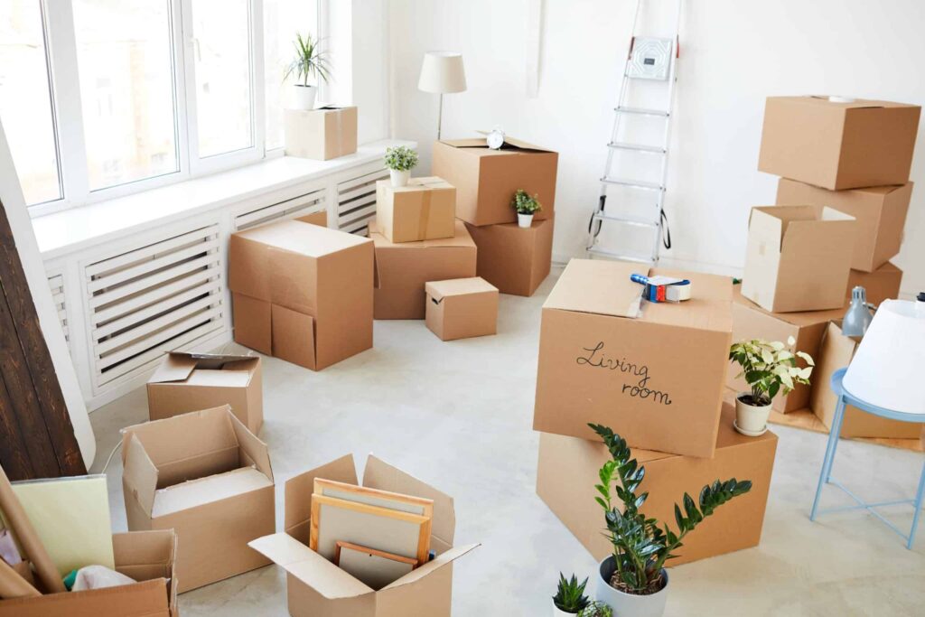 Finding Professional Removals in Cambridge: Your Essential Moving Guide