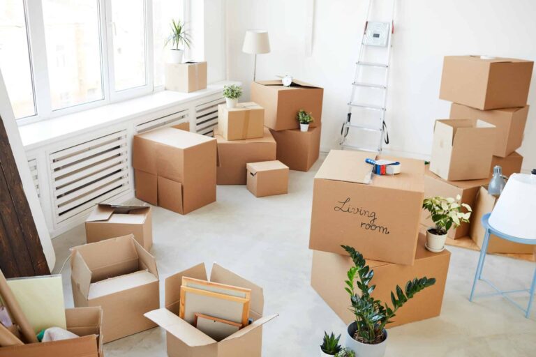 Finding Professional Removals in Cambridge: Your Essential Moving Guide