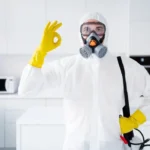 What to Expect When Hiring London Pest Control Services: A Comprehensive Guide