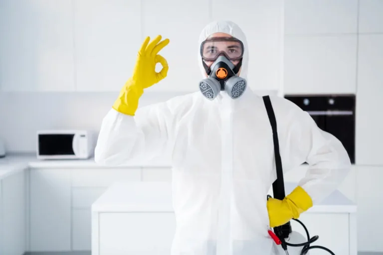 What to Expect When Hiring London Pest Control Services: A Comprehensive Guide
