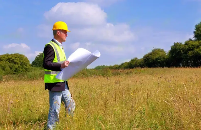 The Critical Need for a BNG Assessment