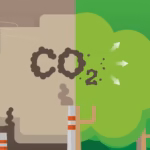 Sustainable Practices to Offset My Business Carbon Emissions UK