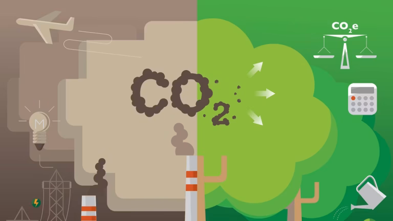 Sustainable Practices to Offset My Business Carbon Emissions UK