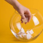 The Modern Way to Run an Office Sweepstake Without the Hassle