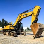 Planning Ahead: Why Flexibility Matters in Plant Investment